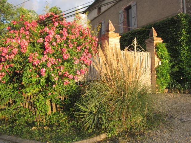 La Demeure De La Coste Bed and Breakfast Vieux  Buitenkant foto
